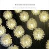 Solar LED Dandelion Ground Light