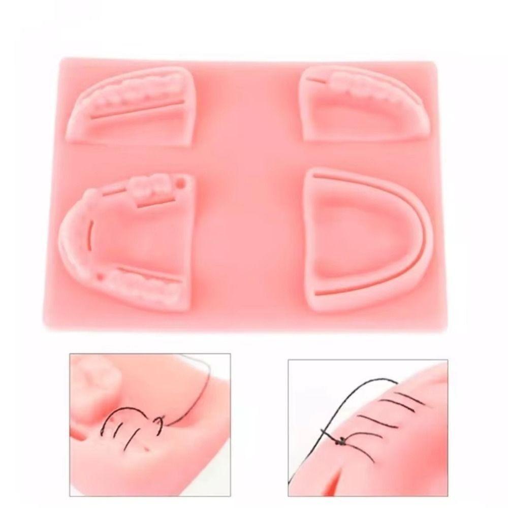 Silikon Zahnlehrmodell 4 Wundtypen Gingivale Naht Trainingsmodell Für Zahnarztunterricht