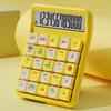 Detachable Electronic Calculators Cute Arithmetic Calculator  Financial Accounting Tools
