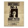 HARRY POTTER 3D Lenticular Framed Poster