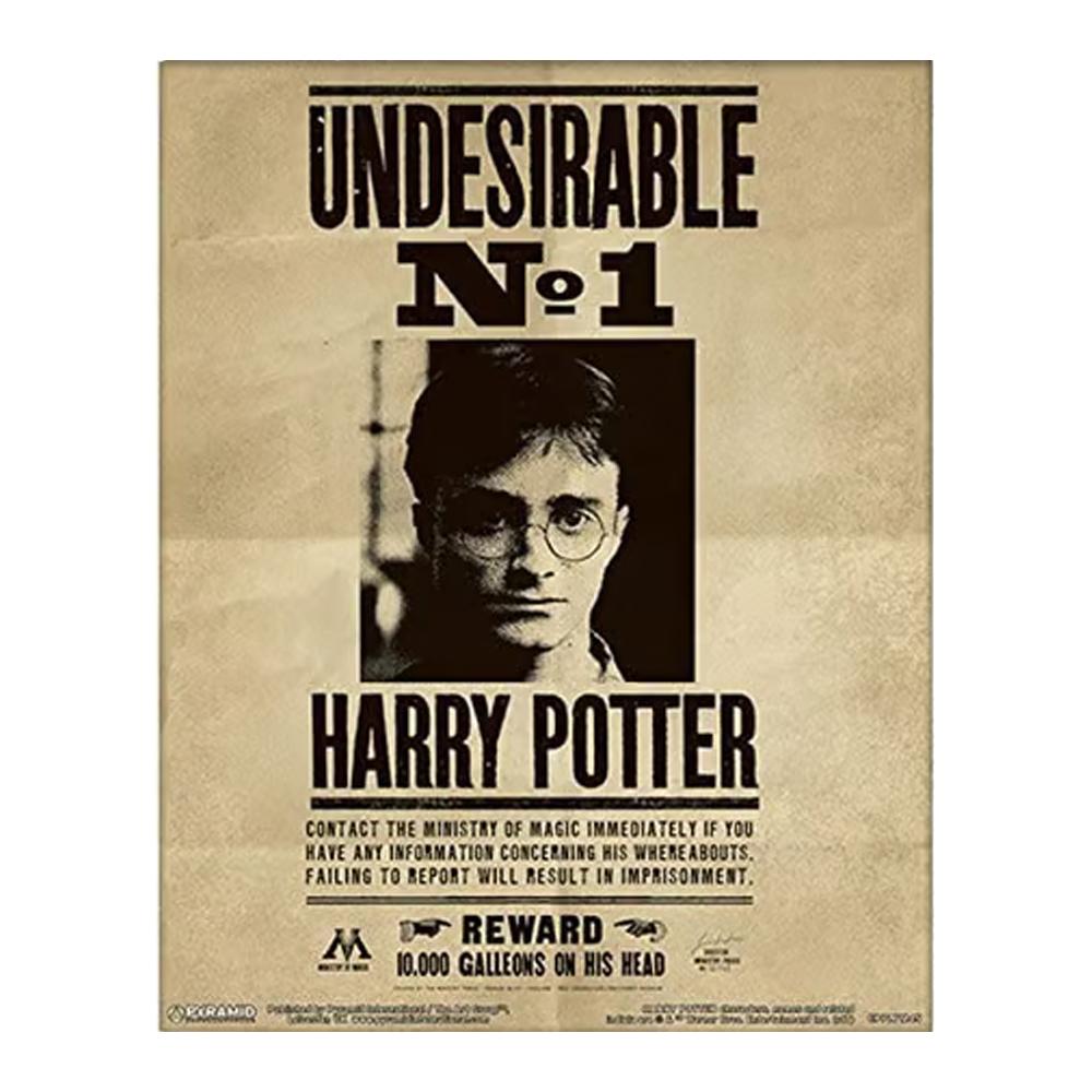 HARRY POTTER 3D Lenticular Framed Poster