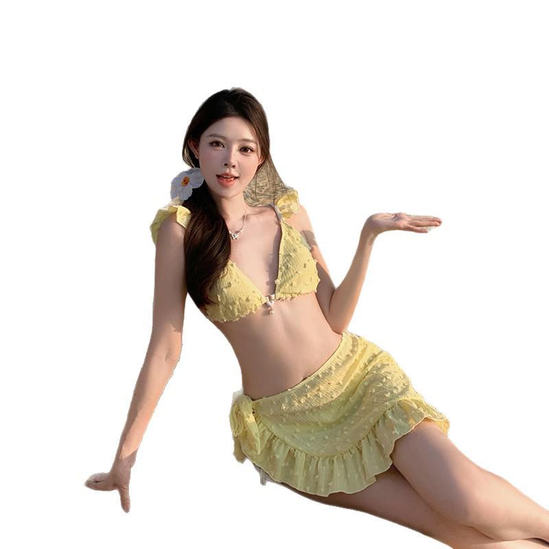 Women's High-End 2025 Dress-Style Three-Piece Bikini Swimwear for Hot Spring Vacations