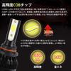 Catland HB4 9006 LED Fog Light Lemon Car LED Fog 3600LM X 35W X COB Pack of 2 Bulbs, Yellow, Yellow, 12V, Light/Headlight Bulbs, 2, 2, Integrated,