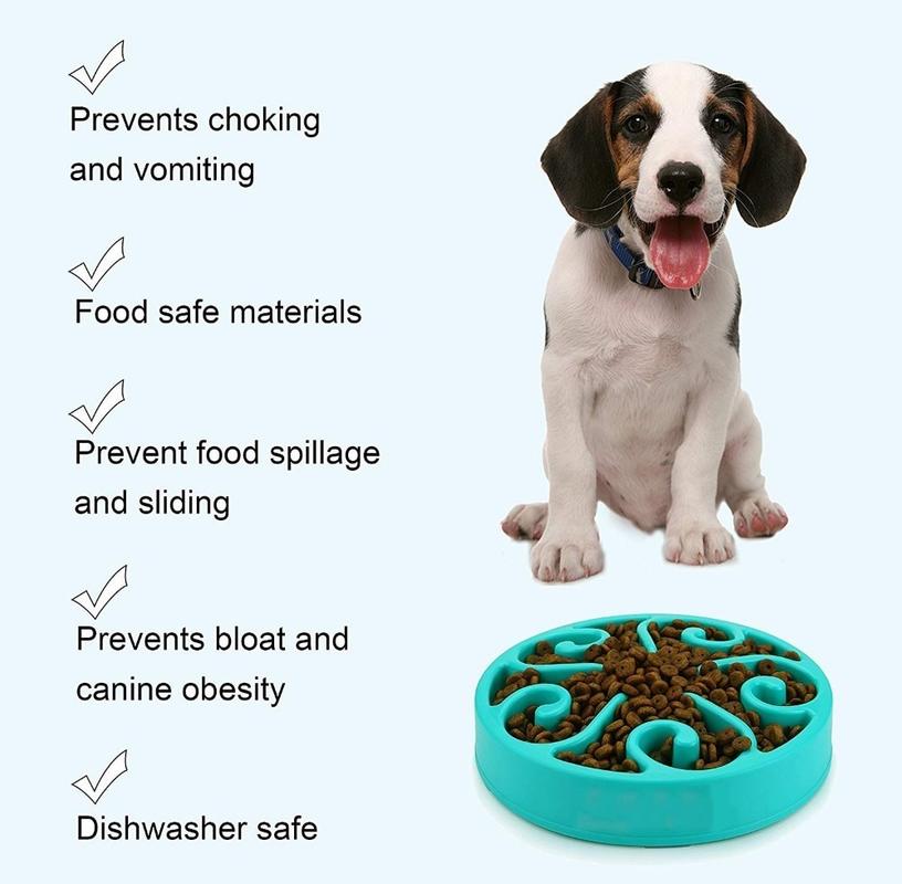 FUNTER FREE PET PAIN PAIN FOOD NON-INDIRECT PET UCHO PET DE PAIN PAIN FOOD FREE PET INTERACTIVE Labyrinth FOR MIDDLE TO MIDDLE SMALL DOGS | DOG FOOD