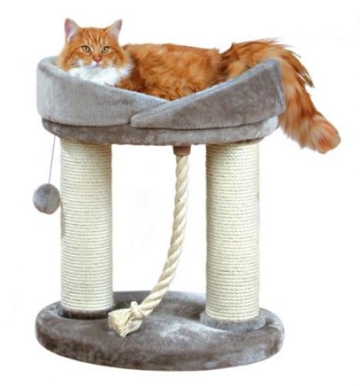 low cat tree