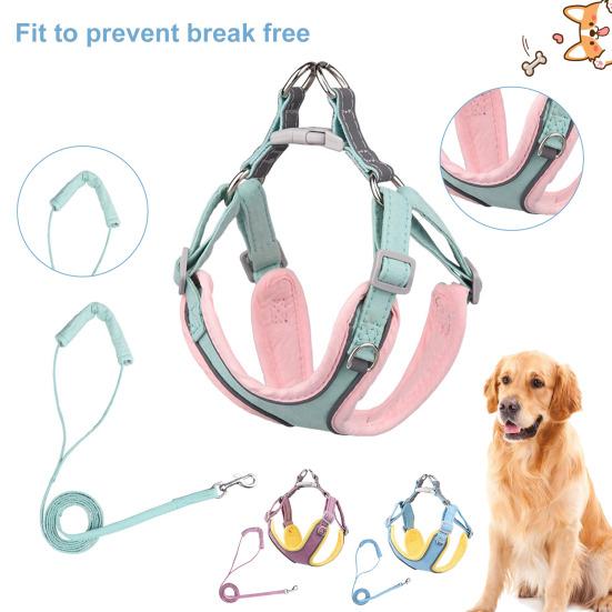 premium dog accessories