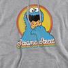 Sesame Street Unisex Adult Cookie Monster Layered Heather Hoodie