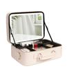 Deluxe Portable LED Makeup Case with Mirror, Large Capacity, Suitcase Compatible