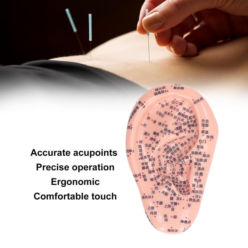 6.7in Ear Acupuncture Model Silicone Engraving Ear Massage Acupuncture Model for Home Laboratory