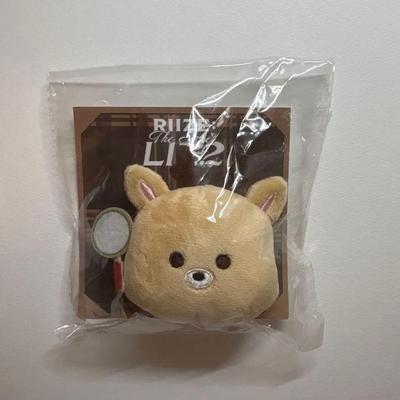 Used Sungchan Plush Badge Penmi Ukrabam RIIZE