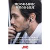 JVC HA-FD01 Canal-Type Earphones CLASS-S SOLIDEGE - Silver