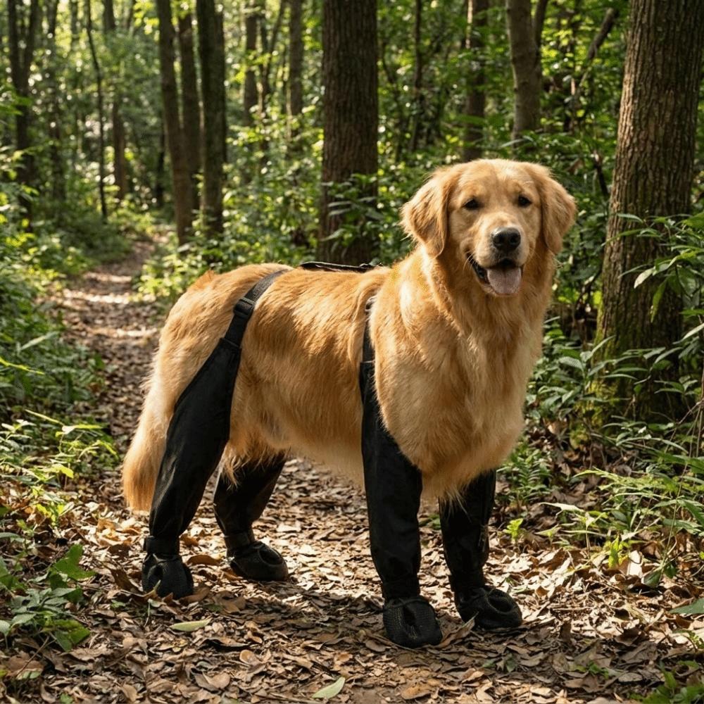 Non-Slip Pet Shoe Covers Adjustable Outdoor Dog Shoes Dog Booties Dog Rain Shoes Outdoor Walking