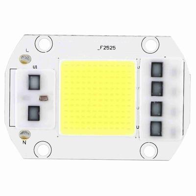Source de lumière COB haute tension, puce LED haute puissance, blanc froid, 100W, 220V, pour utilisation intérieure et extérieure