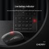 CHERRY Wireless Keyboard and Mouse Set
