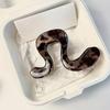 [Elegant Hair Clip] Large High-End Plastic Hair Clip, Bohemian Sweet Style Wavy Shark Clip | for Half Up Hairstyles, Elegant Hair Accessory
