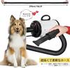 Pet Pet Hair Pet Stepless Air Speed Temperature Adjustable from 4 Nozzles Japanese Instruction Suitable for Dogs and White Dryer, Dryer, Blower,