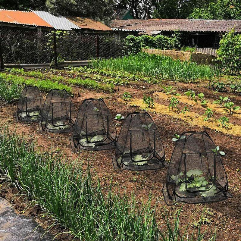 Pop Up Mesh Plant Protectors Garden Crop Protection Cage Outdoor Animals Guard for Blueberry Strawberry Vegetables