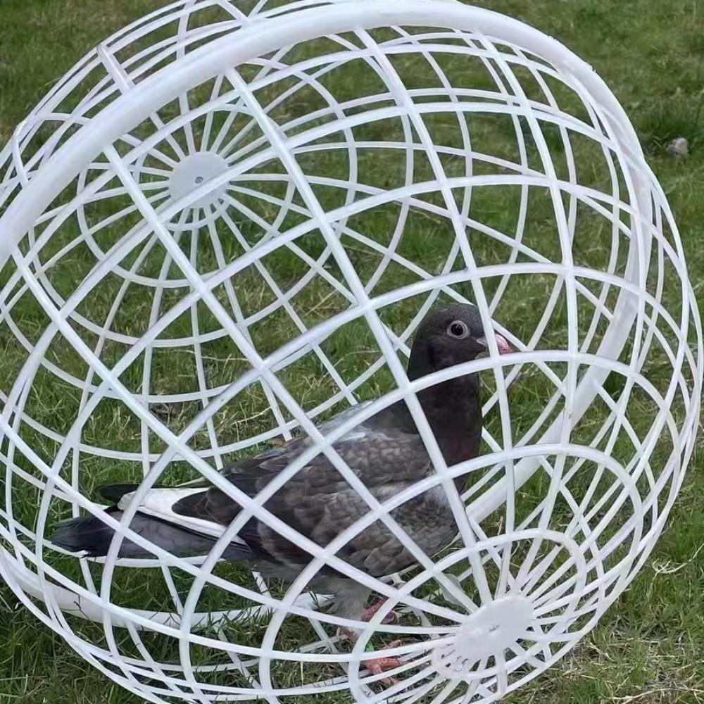 Túneis Ventilados para Frangos para Uso Externo Gaiola Bola Móvel para Frangos Abrigo Redondo Quintais Fazendas