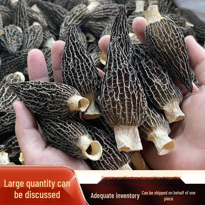 First Flush Dried Morel Mushrooms (5-8cm), Yunnan Origin - New Stock, Douyin Style.