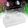 Suction Cup Mount Aquatic Plant Cup Acrylic Fish Tank Plant Holder  Aquarium Decor