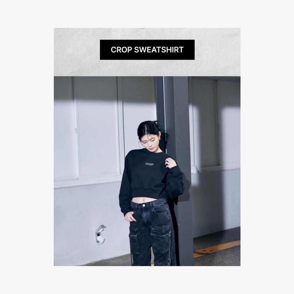 

2-й предзаказ SEVENTEEN TOUR FOLLOW AGAIN TO INCHHEON Укороченный свитшот