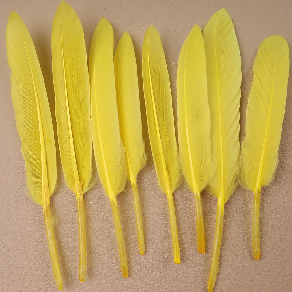 Duck Feathers for Clothes Handicraft Accessories White Golden Black Pink Peacock Goose Feather Plumas Handicraft Article