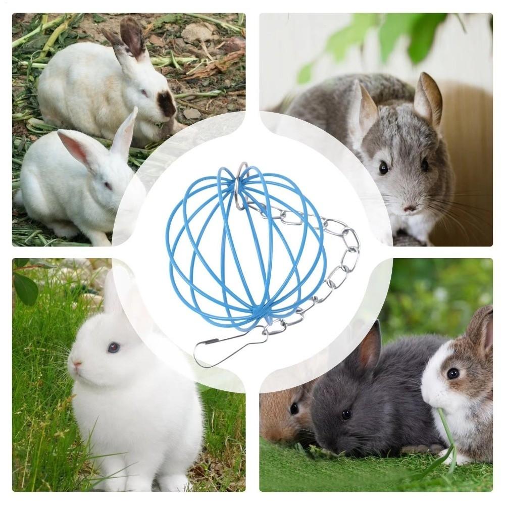 Stainless Steel Rabbit Feeding Ball Round Hanging Grass Ball Rabbit Grass Feeder For Small Pets