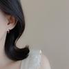 Small Sweet Love Earrings Gentle Zircon Earrings Red Super Flash Earrings New Year Autumn and Winter Earrings