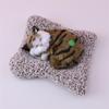Simulated Kitten Meow Bamboo Charcoal Deodorizing Plush Cushion for Car & Home Decoration