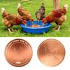 10cm Bird Bath Disk Round Cleaning Plate Bird Bath Water Fountain  for Garden Patio Lawn Fountain