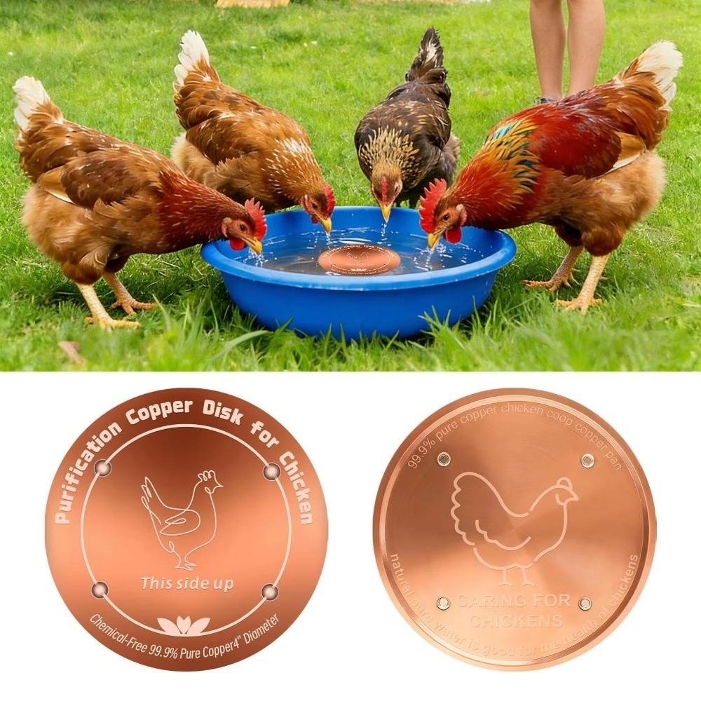 10cm Bird Bath Disk Round Cleaning Plate Bird Bath Water Fountain  for Garden Patio Lawn Fountain