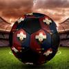 SIZE 5 Willem II Soccer Ball Colorful All Ages Machine Stitched PVC Competition Ready Durable High-Bounce