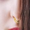 16 Gauge ( 1.2mm ) - 9mm Diameter 316l Surgical Steel Twin Circle Hinged Segment Nose Ring Septum Piercing Jewellery