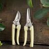 Pruning Shears Stainless Steel Garden Clippers for Bonsai Flower Arrangement Grafting Heavy Duty Hand Pruner with Comfort Grip