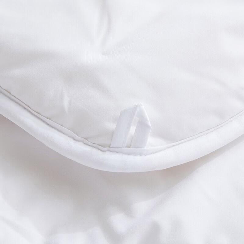 LUOLAI Aerospace Winter Quilt