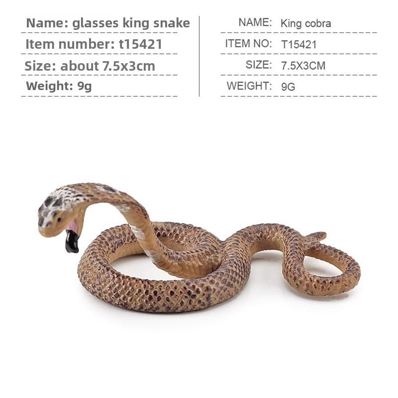 Squirrel Animal Model Set With Pvc Realistic Figures For Educational Play And Collecting Enthusiasts