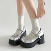 Silver French retro round head light mouth thick high heel single shoes women's 2025 new summer skirt JK Mary Jane shoes