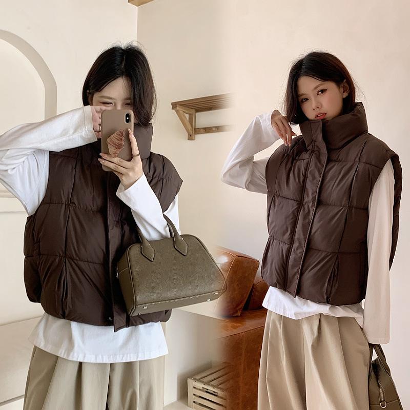 Autumn and Winter New Down Cotton-padded Vest Women's Short Loose Thickened Warm Outer Wear Vest Jacket