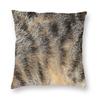 Tabby Cat Faux Fur Square Pillowcase Polyester Linen Velvet Pattern Zip Decor Pillow Case Sofa Seater Cushion Cover x
