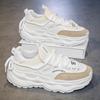Men's shoes summer 2025 new breathable sports casual mesh shoes men's fashion thick-soled height-increasing running dad shoes