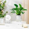 Bouteille Fleurie Hydroponique Fleur Citrouille Vase Décoration Maison Jardinière Vase Décoratif pour Accessoires de Pièce de Maison