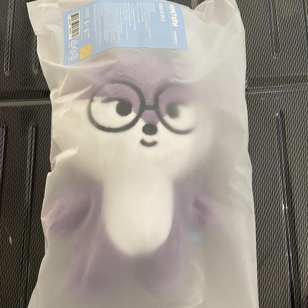 [USED] MINITEEN Pop-up Plush Toy Wonwoo Seventeen