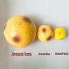 Jumbo Slow Rebound Potato Squeeze Toy