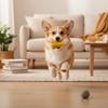 Dog Treat Toy Badminton Shape Pet Supplies With Bell Dog Food Toy For Travel Pool Park Yard Bedroom Garden Indoor Outdoor Family