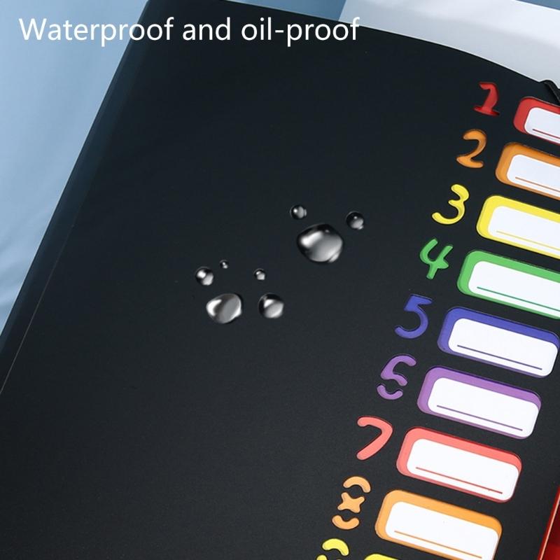 2pcs Portable Expanding A4 Folder 12-Compartment Document Organiser with Index Labels, PP Elastic Fastener Filer Case