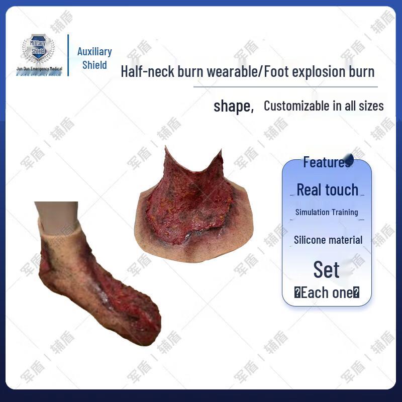 Burn Injury Simulation Model Set
