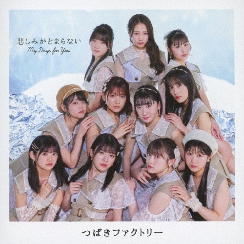

TsuBaki FacTory My Days For You Sadness Won T sTop [cd+Blu Ray Disc] limiTed ediTion B