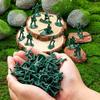 36pcs Miniature Plastic Soldier Models - 1.96 Inch Multicolor Military Figures for Party Decor, Birthday Gifts, Collectibles JXB