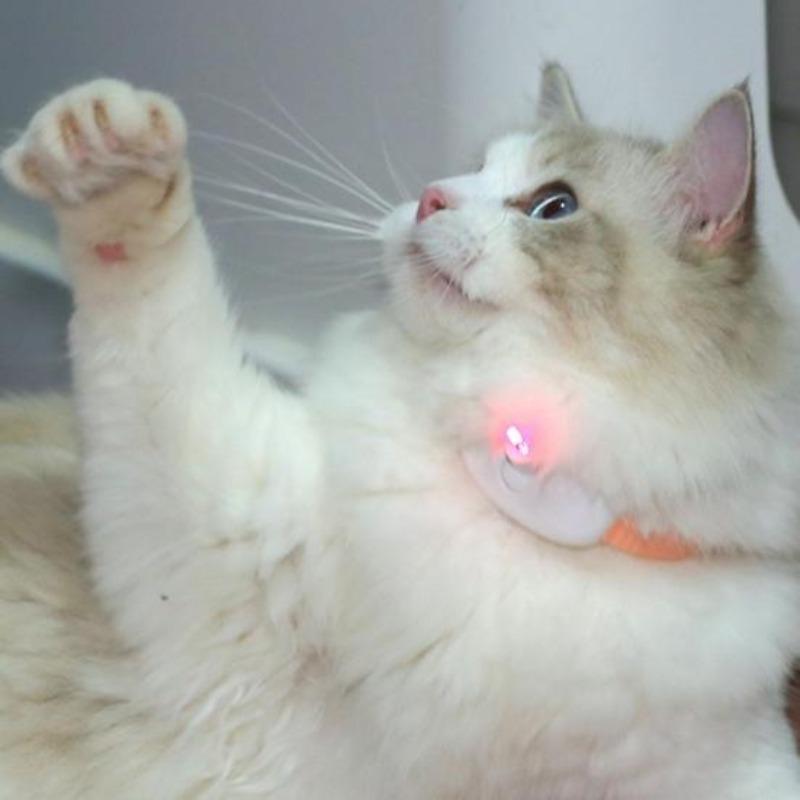 Wearable Automatic Cat Toys with Light Point Electric Kitten Collar Toy Rechargeable Interactive Collar for Indoor Cats