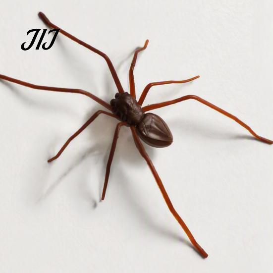 Iron Surface Decorative Gadgets Realistic 3D Spider Refrigerator Magnet, Insect Magnet for Kitchen Fridge Office Whiteboard Magnets Whiteboard,